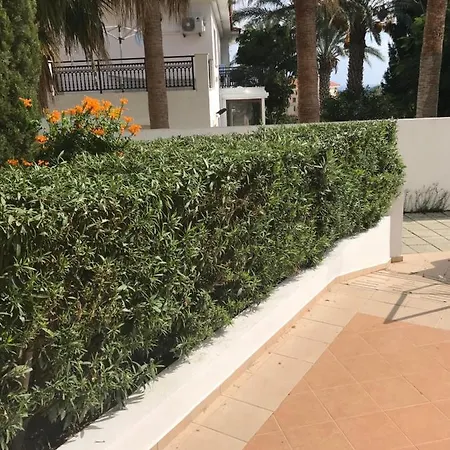 Mediterranean Dream Apartament *