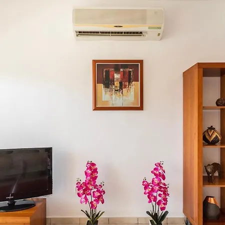 Mediterranean Dream *